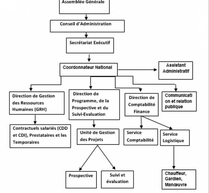 Organigramme de l'ONG Kouri
